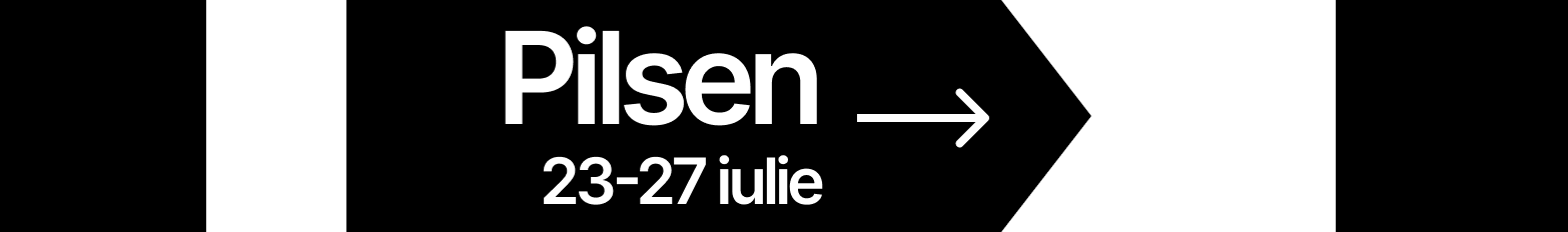 Artist on the Go to Pilsen